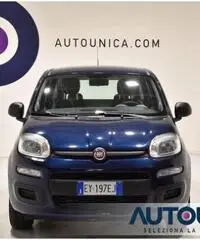 FIAT Panda 1.2 EASY SOLO 28.000 KM NEOPATENTATI NUOVA FIAT Panda 1.2 EASY SOLO 28.000 KM NEOPATENTATI NUOVA