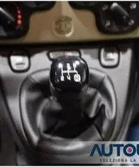FIAT Panda 1.2 EASY SOLO 28.000 KM NEOPATENTATI NUOVA FIAT Panda 1.2 EASY SOLO 28.000 KM NEOPATENTATI NUOVA