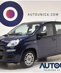 FIAT Panda 1.2 EASY NEOPATENTATI SOLO 29.000 KM FIAT Panda 1.2 EASY NEOPATENTATI SOLO 29.000 KM