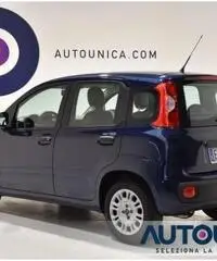 FIAT Panda 1.2 EASY NEOPATENTATI SOLO 29.000 KM FIAT Panda 1.2 EASY NEOPATENTATI SOLO 29.000 KM