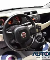 FIAT Panda 1.2 EASY NEOPATENTATI SOLO 29.000 KM FIAT Panda 1.2 EASY NEOPATENTATI SOLO 29.000 KM