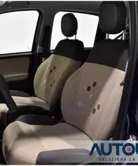 FIAT Panda 1.2 EASY NEOPATENTATI SOLO 29.000 KM FIAT Panda 1.2 EASY NEOPATENTATI SOLO 29.000 KM
