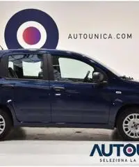 FIAT Panda 1.2 EASY NEOPATENTATI SOLO 29.000 KM FIAT Panda 1.2 EASY NEOPATENTATI SOLO 29.000 KM