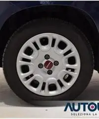 FIAT Panda 1.2 EASY NEOPATENTATI SOLO 29.000 KM FIAT Panda 1.2 EASY NEOPATENTATI SOLO 29.000 KM