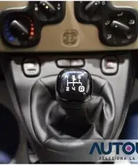 FIAT Panda 1.2 EASY NEOPATENTATI SOLO 29.000 KM FIAT Panda 1.2 EASY NEOPATENTATI SOLO 29.000 KM