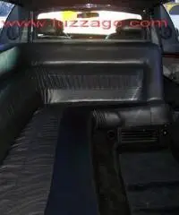 Lincoln - Limousine Executive