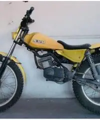 SWM 50 trial