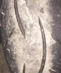 Honda hornet 600 del 02