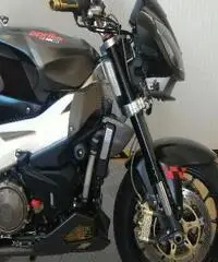 APRILIA Tuono 1000 Export price www.actionbike.it