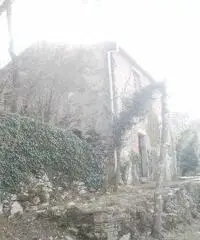 Recco: Rustico Altro