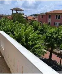 Santa Margherita Ligure: Appartamento 5 Locali o piu Santa Margherita Ligure: Appartamento 5 Locali o piu