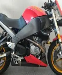 BUELL Lightning XB 12S Export price www.actionbike.it BUELL Lightning XB 12S Export price www.actionbike.it