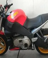 BUELL Lightning XB 12S Export price www.actionbike.it