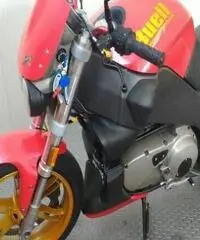 BUELL Lightning XB 12S Export price www.actionbike.it
