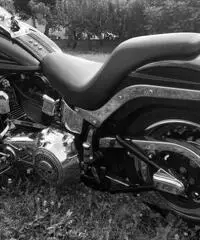 Harley Davidson