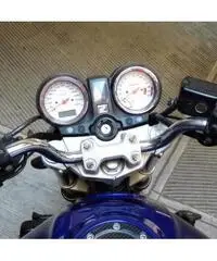 honda hornet 600
