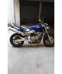 honda hornet 600