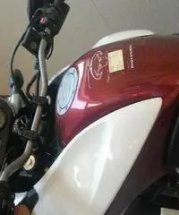 HONDA Transalp XL 700 V Export price www.actionbike.it HONDA Transalp XL 700 V Export price www.actionbike.it