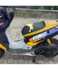 HONDA X8r Scooter cc 50 HONDA X8r Scooter cc 50