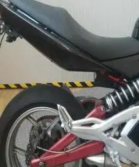 KAWASAKI ER-6N Export price www.actionbike.it