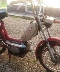 Minarelli 1974 Minarelli 1974