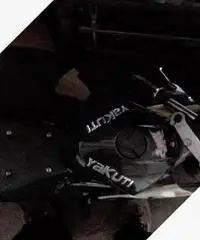 Mini moto 2013