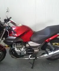 MOTO GUZZI Breva V 750 i.e. EXPORT PRICE FOR WINTER