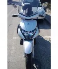 PIAGGIO Beverly tipo veicolo Scooter cc 250 PIAGGIO Beverly tipo veicolo Scooter cc 250