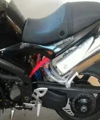 TRIUMPH Speed Triple 1050 Export price www.actionbike.it TRIUMPH Speed Triple 1050 Export price www.actionbike.it