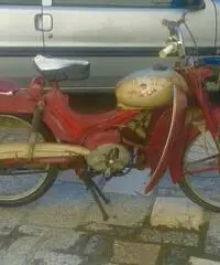 Vendo Guzzi Dingo 49 Vendo Guzzi Dingo 49