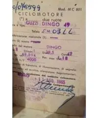 Vendo Guzzi Dingo 49 Vendo Guzzi Dingo 49