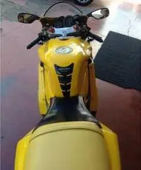 DUCATI 748S BIPOSTO