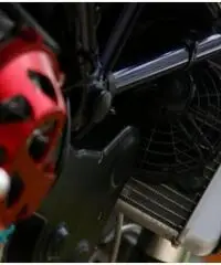 Ducati Monster S4R anno 2006