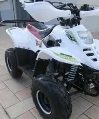 LEM Altro
