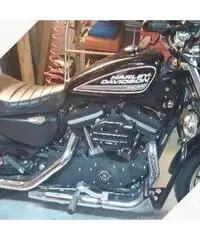 Harley-Davidson Sportster 883 - 2008 Harley-Davidson Sportster 883 - 2008