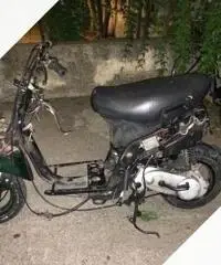 Zip 50