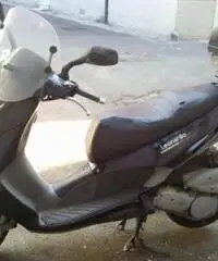 APRILIA Leonardo tipo veicolo Scooter cc 150