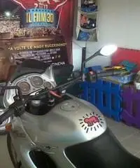 APRILIA Pegaso tipo veicolo Turismo cc 650