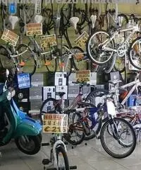 MTB LOMBARDO DI 14 nuova di fabbrica A KM ZERO