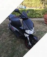 Runner sp 50