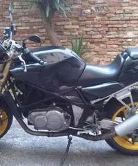 Vendo Laverda Ghost 668