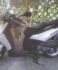 vendo moto in perfette condizioni