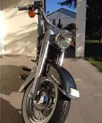 Harley davidson softail special flstn-s limited edition