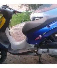 Honda X8RS Replica Valentino - Adesivi Tolti - Usato