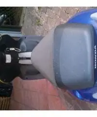 Honda X8RS Replica Valentino - Adesivi Tolti - Usato