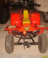 QUAD LEM motore Franco Morini 49 mod.Cayman