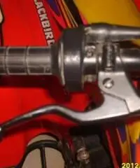 QUAD LEM motore Franco Morini 49 mod.Cayman