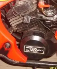 QUAD LEM motore Franco Morini 49 mod.Cayman