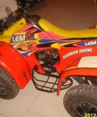 QUAD LEM motore Franco Morini 49 mod.Cayman