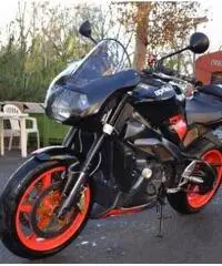 APRILIA Tuono 1000 R Lug. 2oo4 Km 27.000 APRILIA Tuono 1000 R Lug. 2oo4 Km 27.000